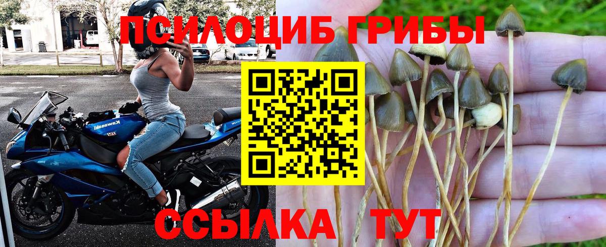 Галлюциногенные грибы прущие грибы  Вход с VPN  Галлюциногенные грибы ЛСД  где продают наркотики  Ивантеевка 